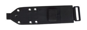 3-4-Molle-Back