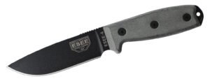 ESEE-4P
